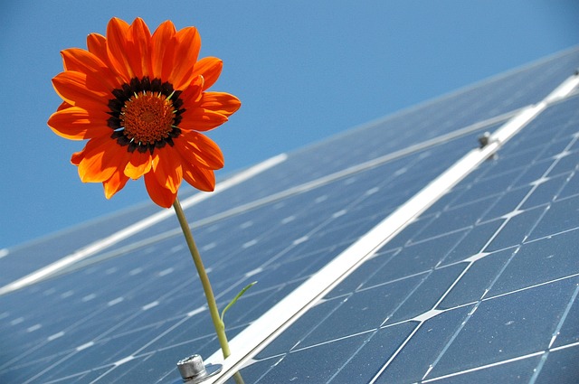 Bando fotovoltaico Bologna 2024